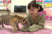 【画像】橋本環奈、動物を愛でる番組で前かがみになり谷間を惜しげもなくスタッフに晒してしまうｗｗｗｗｗｗｗｗｗ