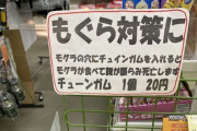 【画像】モグラの駆除方法かんたんすぎｗｗｗ