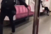 【悲報】カカロット、電車で暴れる「あのクソ駅員…ぶっ殺してやっからな」