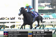 【有馬記念】イクイノックス強すぎワロタｗｗ