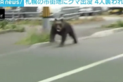 【画像】ヒグマで大混乱の札幌市、全裸男と忍者まで現れていた模様