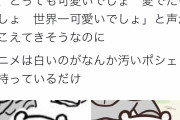 【悲報】ちいかわ原作厨「アニメのちいかわはなんか汚いポシェット持ってるだけで可愛くない」