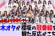乃木ヲタが櫻坂の冠番組を観た反応がこちら！【乃木坂46/日向坂46/櫻坂46】
