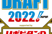 【公言してる専】ヤク巨人広島中日オリ福岡西武楽天ハム