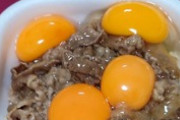 3時起きワイ、朝から牛丼を頂く