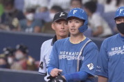 日ハム谷内、先制打含むマルチ安打「野村佑希様、お元気でしょうか」