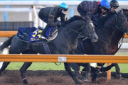 【有馬記念がピンチ】クロノジェネシス　香港カップ受諾