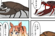 【ウマ娘】フリオーソから学ぶザリガニ学