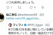 【悲報】フィフィ「統一教会は反社。日本人から金を奪い韓国に流してる」→大炎上