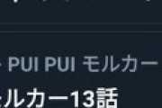モルカー「13話を見た」という報告相次ぎ騒然　全員全く違う放映内容、「集団幻覚」がトレンド入りする異常事態