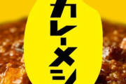 「カレーメシ」とかいう需要が分からない謎の商品