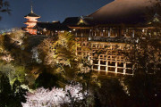 清水寺でライトアップ試験点灯、27日から夜間特別拝観