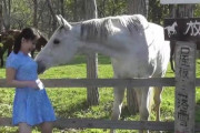 【悲報】JKさん、馬にセクハラされてしまう