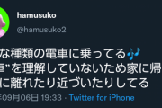 【悲報】カービィ好きで電車好きのモンスター、またしても現れるｗｗｗｗ