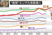 【悲報】日本のエンゲル係数、限界突破ｗｗｗｗｗ