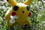 ワイ（33）「ポケモンがさー！アニポケがさー！ぬいぐるみがさー！」 弟「そんな事より仕事みつかった？」