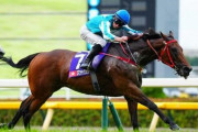ロマンチックウォリアーに勝てる過去の馬は？