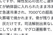 【悲報】コロナで死んだ人、太陽の表面より1000℃高い7000℃の業火で火葬されてしまう