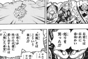 【正論】今週のワンピース、戦争に対する意見が正論だと話題に「降伏が命を救うとは限らない」「負けた代償は『人権』と『希望』」「これが敗戦」