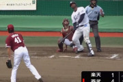 【朗報】西武メヒア、確信ホームラン！