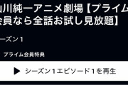 【朗報】伝説のアニメ「やらないか」、プライムビデオに登場ｗｗｗｗｗｗｗｗｗｗ