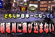 【議論】Z世代「野球のチームが優勝したくらいで道頓堀にダイブする意味がわからない・・」
