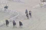 【動画】ドヤコンガという名前のウマが初出走した結果ｗｗｗ