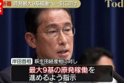 【これが真実】ネット民「原発稼働！？ついに岸田が決断した！よくやった！」岸田「…ふふ（ほんとチョロいなｗ」ワイファ！？→