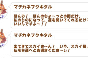 【ウマ娘】フクキタルってたまにおかしくなるよね。←「たまに…？」