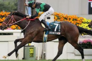 ラヴズオンリーユー 香港カップで引退！ノーザンファームで繁殖入り