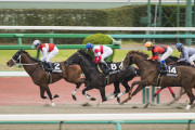 競馬初心者なんやけど馬券って何見て買ったらええんや？