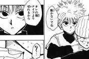 【ハンターハンター】キルア「あれ以上やってたら殺したくなっちゃうもんな」ﾆﾁｬｯ←これ