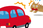 乗用車が小動物を避けようと路外へ飛び出し　助手席で母親の膝上にいた生後8ヶ月男児が意識不明の重体…