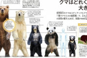 本州にヒグマがいない理由、ガチでわからない・・・