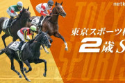 第30回 東京スポーツ杯2歳ステークス(GⅡ)