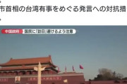 【速報】日本の国会議員で、礼儀はしっかり　中国に感謝「日本への渡航を控えて頂き、本当に有難うございます」