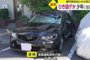 18歳のアホが頭文字Dの真似してライト消して信号無視→死亡ひき逃げ事故を起こし逮捕→判決があまりに軽すぎる…