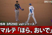 ドジャース戦で生まれたハグアウトにMLBファン騒然！←「だから野球が好きなんだ」（海外の反応）