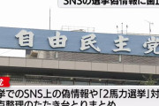 自民党、選挙運動に関連して、名誉を傷つけるSNS投稿は「即日削除」へ