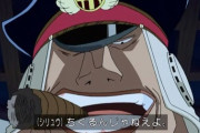 【ワンピース】「黒ひげの幹部」って冷静に考えたら弱そうｗｗｗ