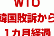 【速報】韓国WTO敗訴で日本政府による対抗措置発動か！　30日以内に是正勧告に応じなければ発動可能に！　WTO判決文の英語原文を見てみよう！
