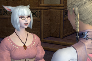 【FF14】「メインクエどこまで進んだ？」「もう寝る時間でしょ！」ゲーム内で母親並みに過干渉してくる奴・・・