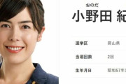 【ガチオタク】高市内閣の小野田紀美大臣、オタクで腐女子な上にFGO民だったｗｗｗｗ