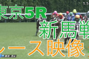 川田ダノンザタイガー 教育と称してわざと出遅れ、挙句に前の馬を差し損ね2着 これ大問題じゃないの？
