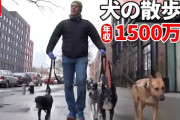 【急げ】犬の散歩代行、年収1500万円