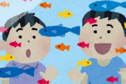 海水魚?飼ってるワイがマリンアクアリウムの悪いところを書きまくるスレ
