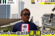 【悲報】ガーシー「僕は逮捕されるのが嫌なだけなんです。議員という職に執着はない。さっさと除名すればいい」