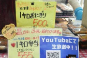 韓国人「日本の555円弁当のボリュームが想像以上にすごい件」