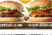 【画像】モスバーガーでこんだけ食って1180円ｗｗｗｗｗｗｗ
