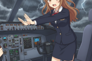 「機長、やめてください！！」